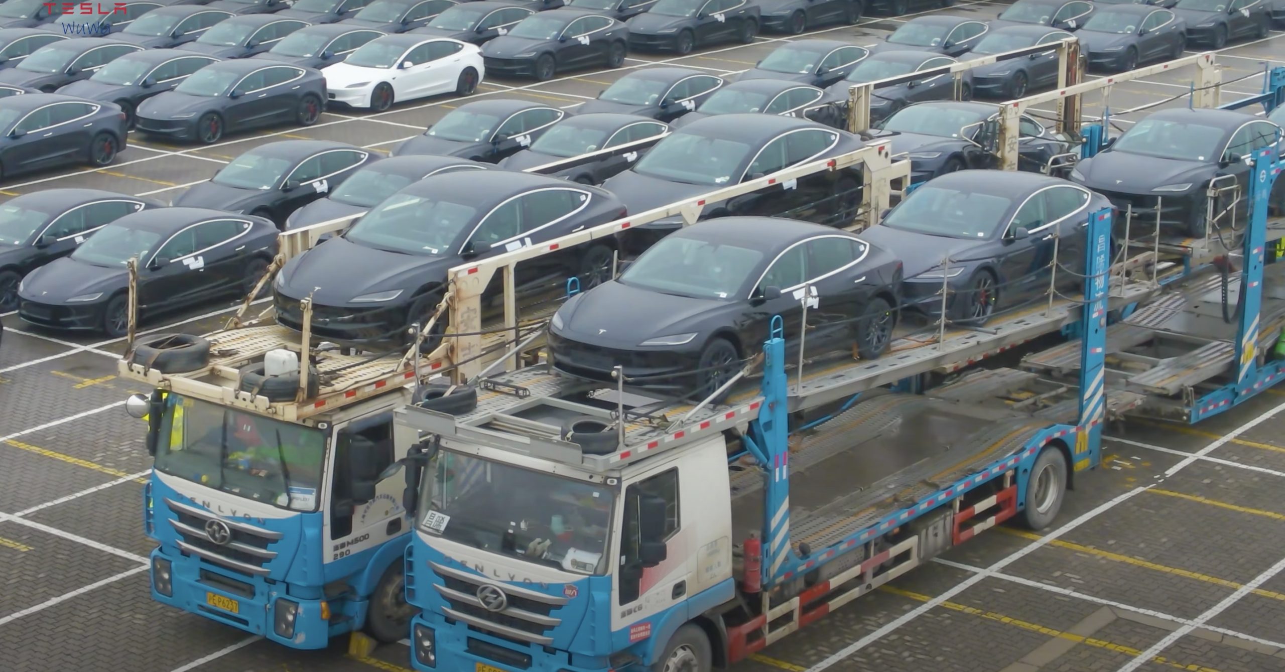 Tesla Model 3 Performance Export Fleet Spotted