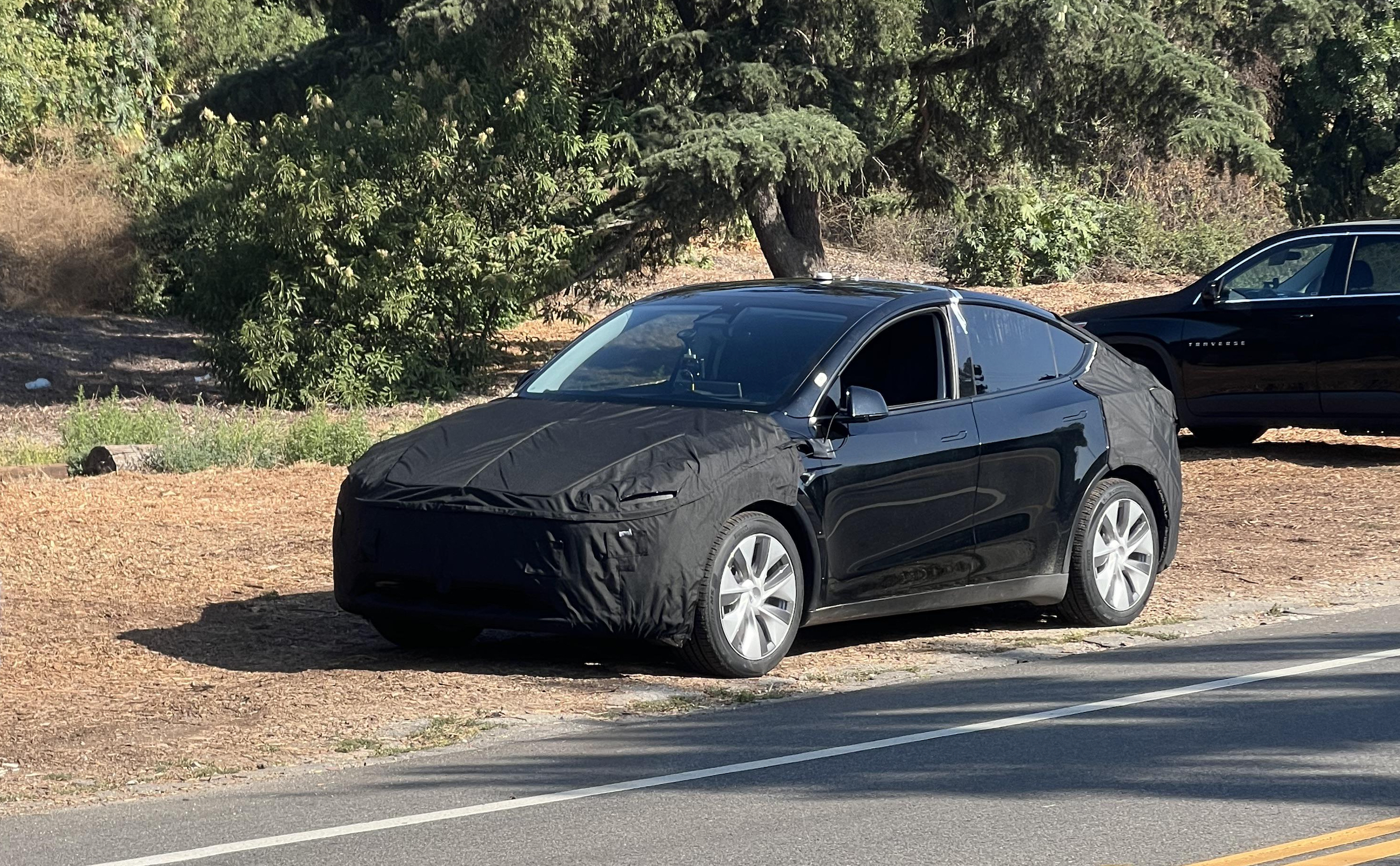Tesla Model Y Juniper Spotted