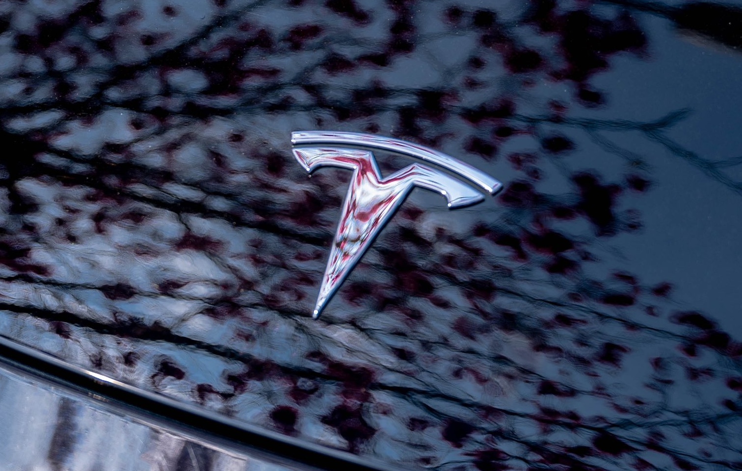 Tesla Has Opened Questions for Q2 2024 Earnings Call
